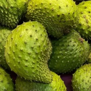 Soursop